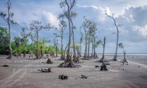 কুয়াকাটা