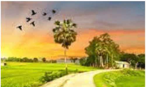 বাংলাদেশের গ্রামীণ বাসস্থান