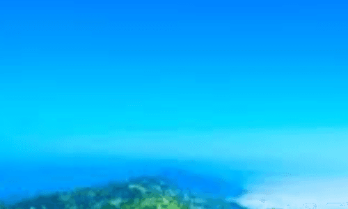 নীলগিরি