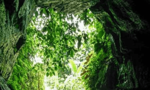 আলুটিলা গুহা